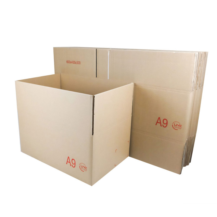 Caisse Carton GALIA A9 60 x 40 x 30 cm