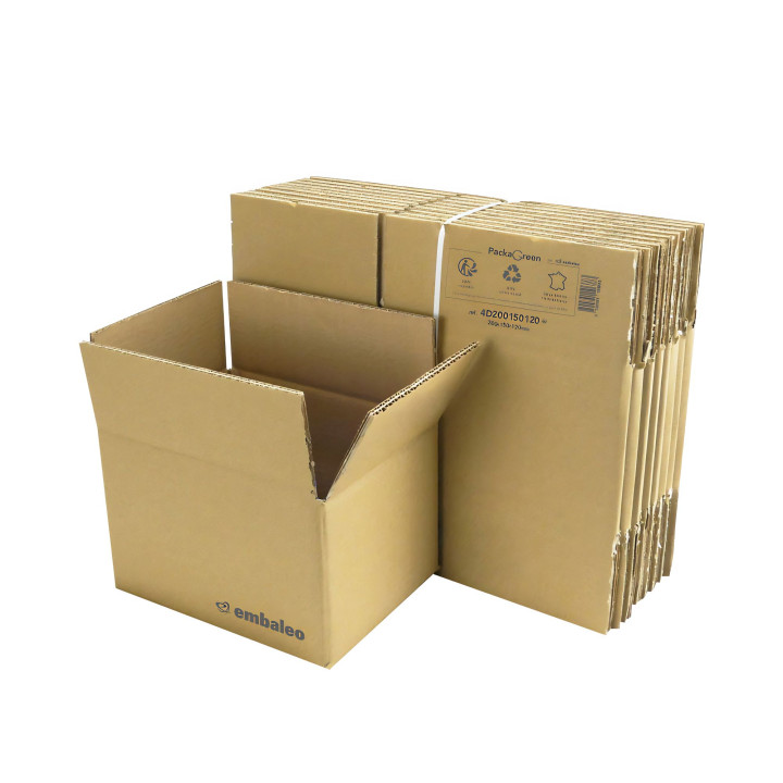 Carton double cannelure 20 x 15 x 12 cm