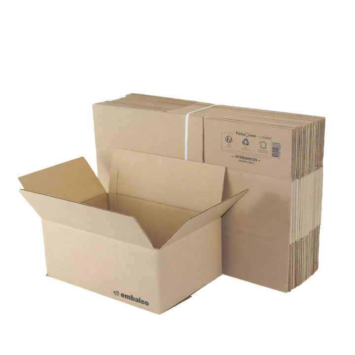 Carton simple cannelure  30 x 20 x 12,5 cm type GALIA A16