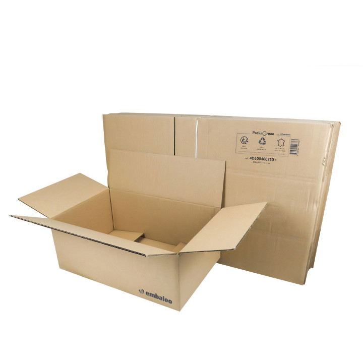 Carton double cannelure 60 x 40 x 25 cm type GALIA A10