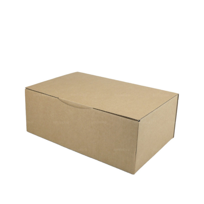 Boîte carton brune avec fermeture adhésive ecologique et eco-responsable