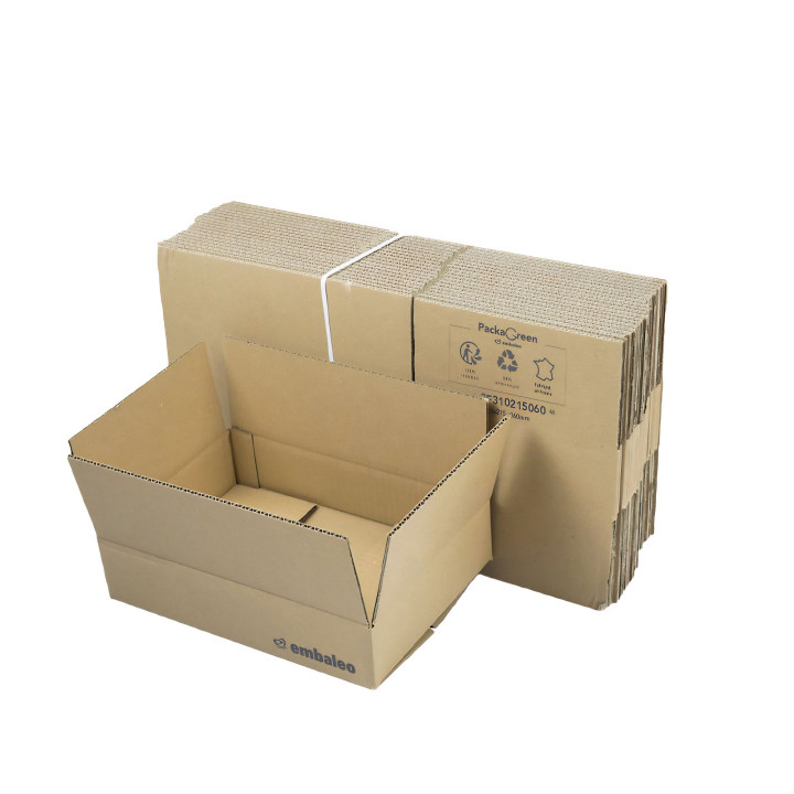 Carton standard simple cannelure 31x21.5x6 cm