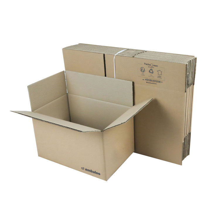 Carton double cannelure 35 x 22 x 20 cm