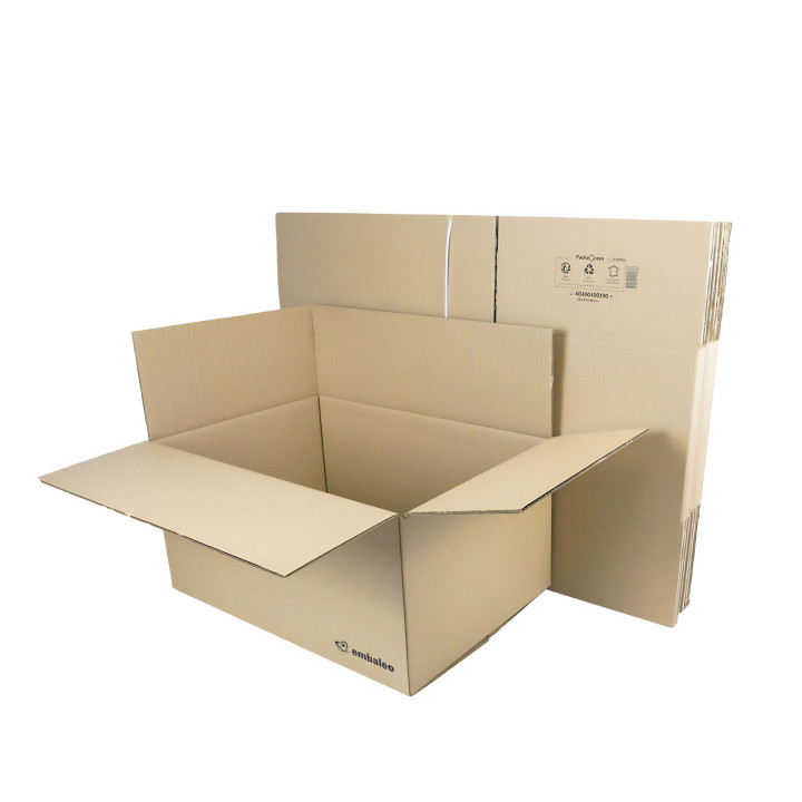 Carton double cannelure 60x40x30 cm type GALIA A9